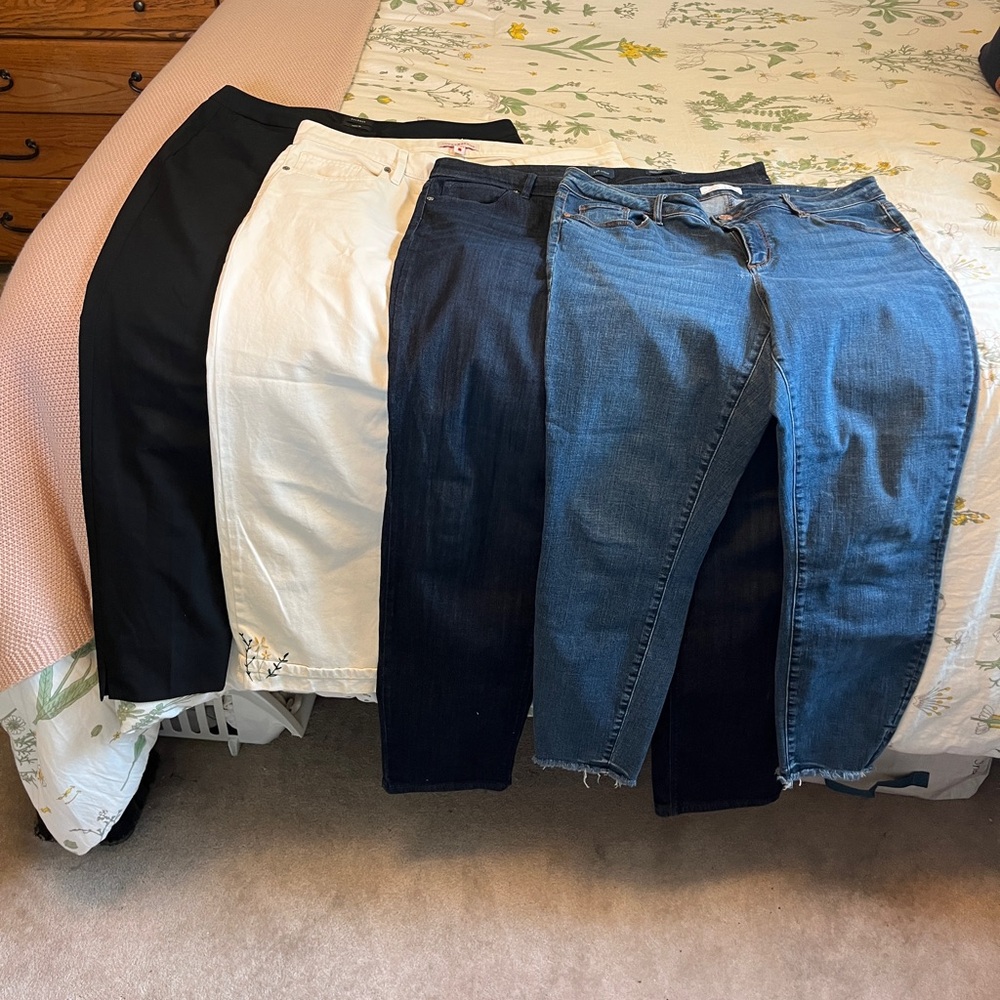 Size 14 Women’s Pants Bundle